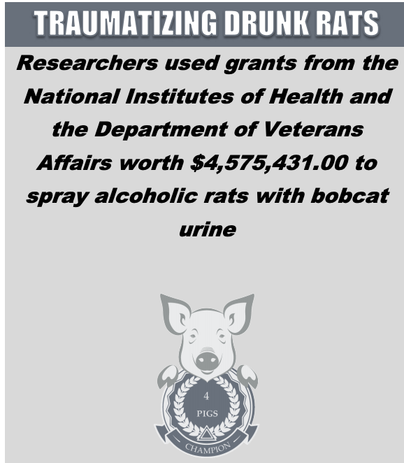 Screen Shot 2021-02-04 at 12.39.07 PM.png